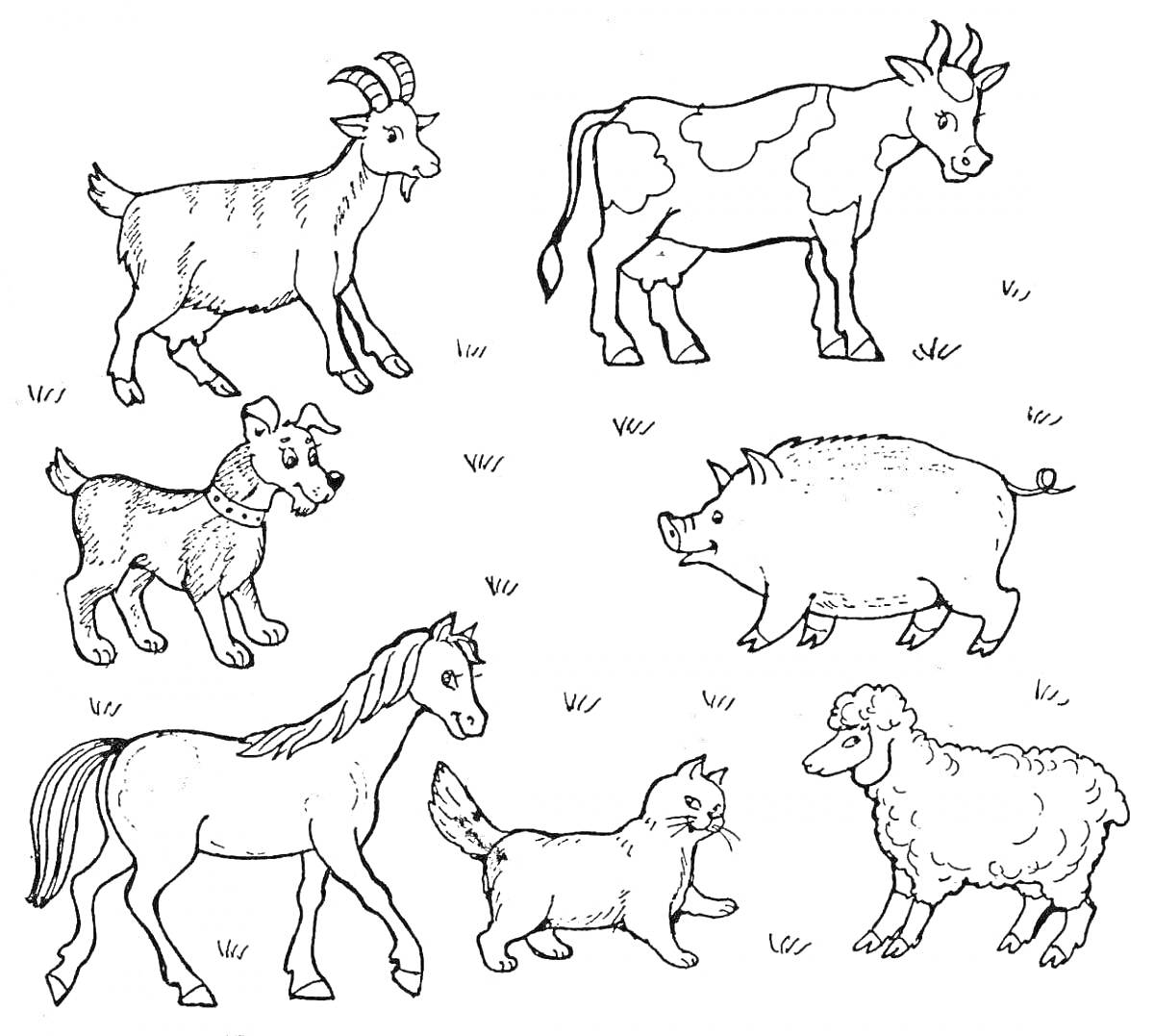 На раскраске изображено: Домашние животные, Козел, Корова, Собака, Лошадь, Для детей, Кот, Овечки, Свиньи