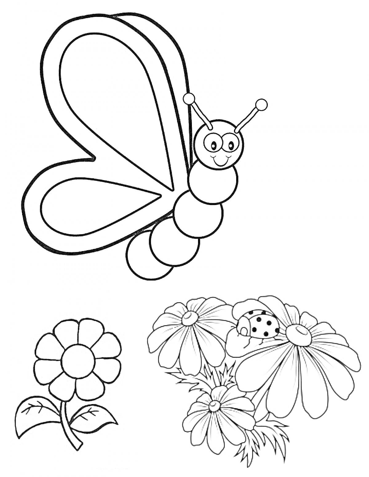 На раскраске изображено: Бабочка, Цветы, Ромашка, Божьи коровки, Подсолнечники