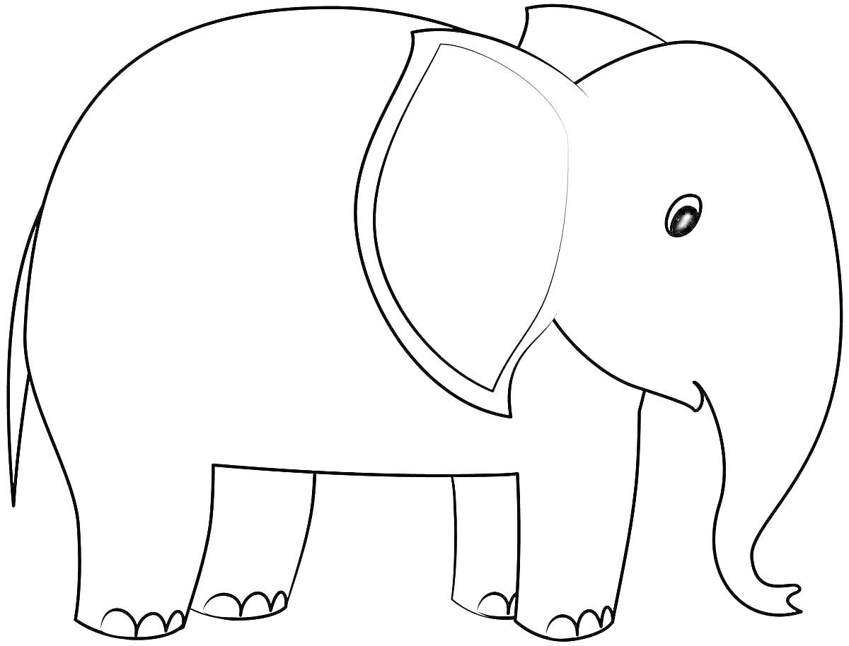 На раскраске изображено: Слон, Дети 3-4 года, Уши, Хобот, Животные