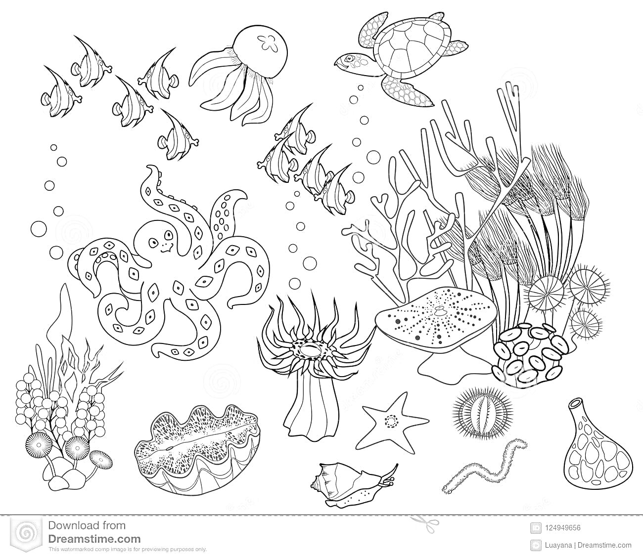 Коралловый риф с рыбой, медузой, черепахой, осьминогом, морской звездой и ракушками