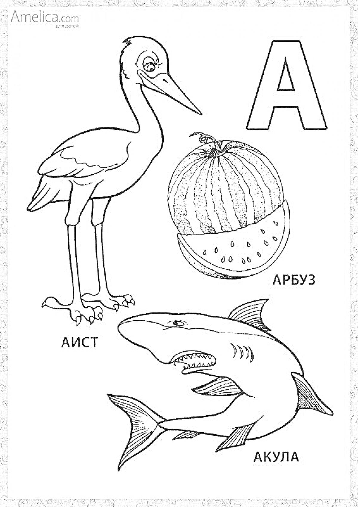 Раскраска Аист, арбуз, акула, буква А