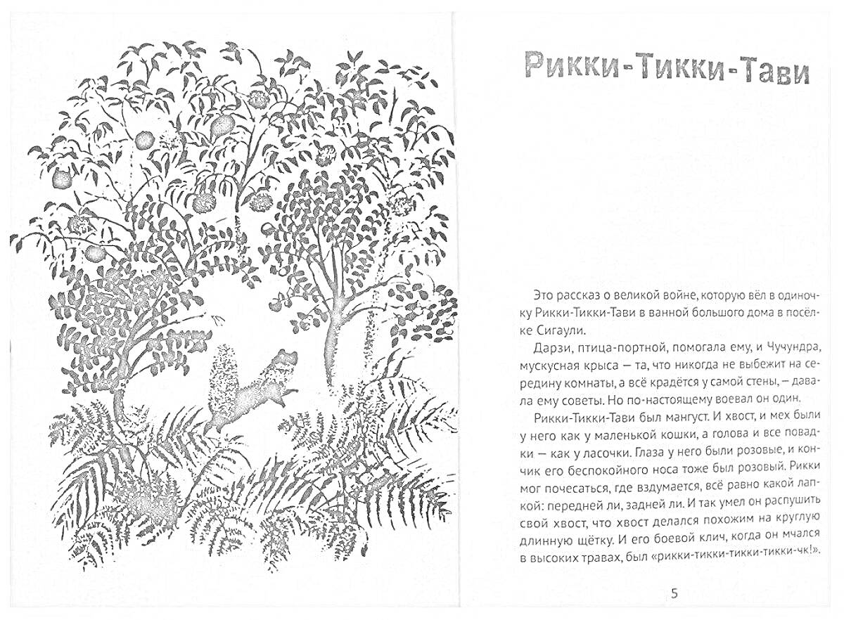 Раскраска Лесная сцена с Рикки-Тикки-Тави среди деревьев и кустов