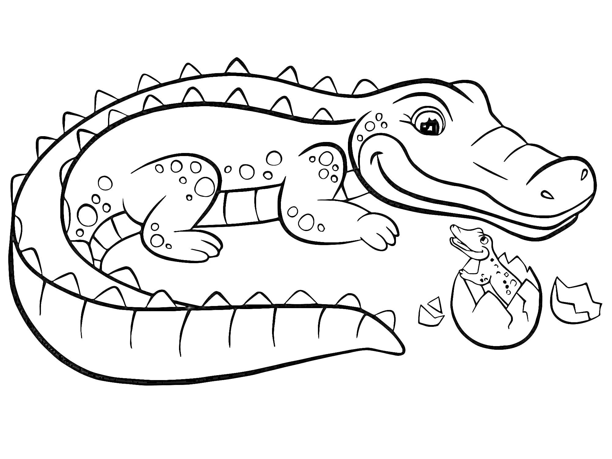 На раскраске изображено: Крокодил, Малыш, Вылупление, Дошкольники, Животные, Природа