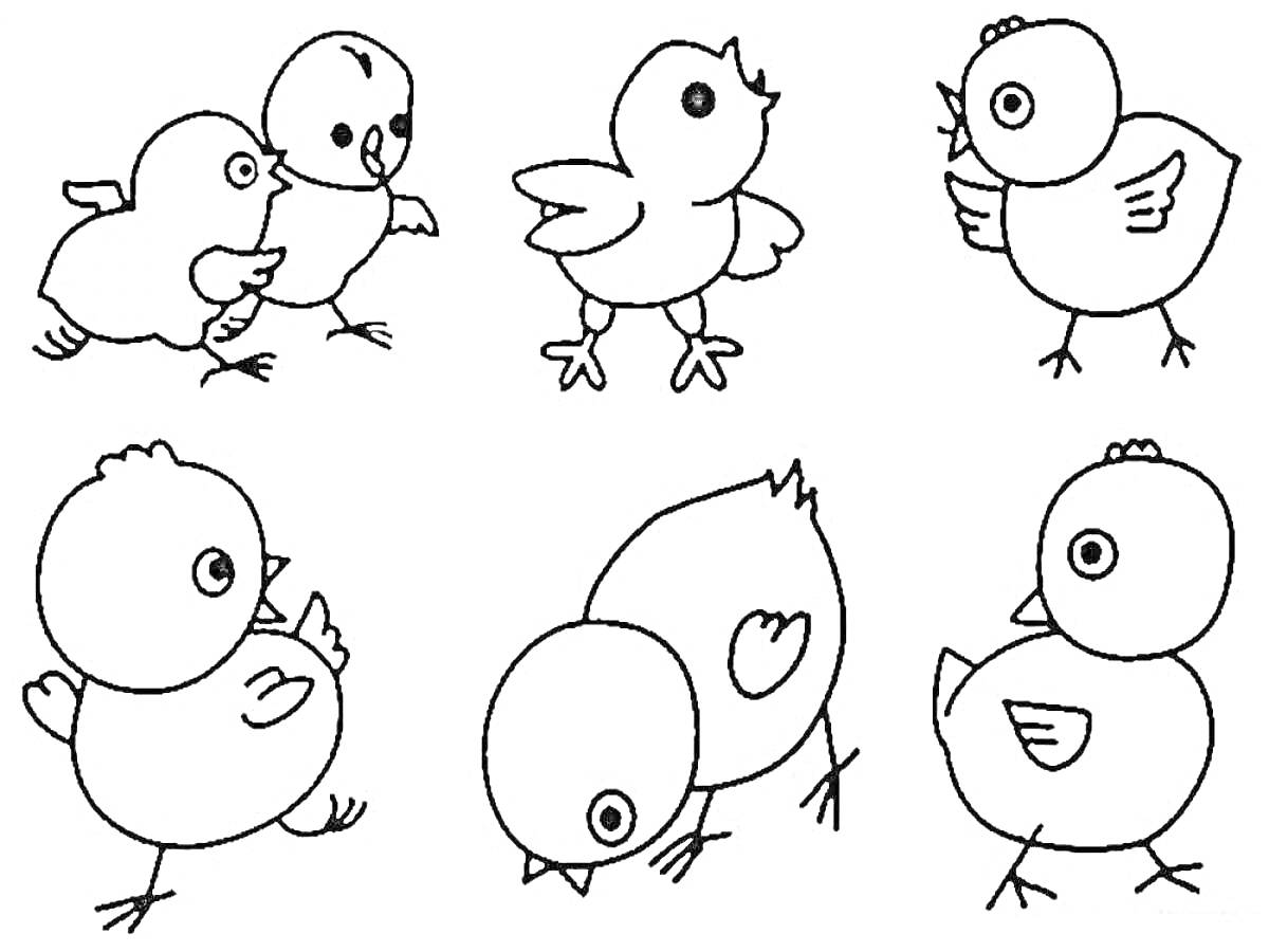 Раскраска Шесть разных цыплят в различных позах