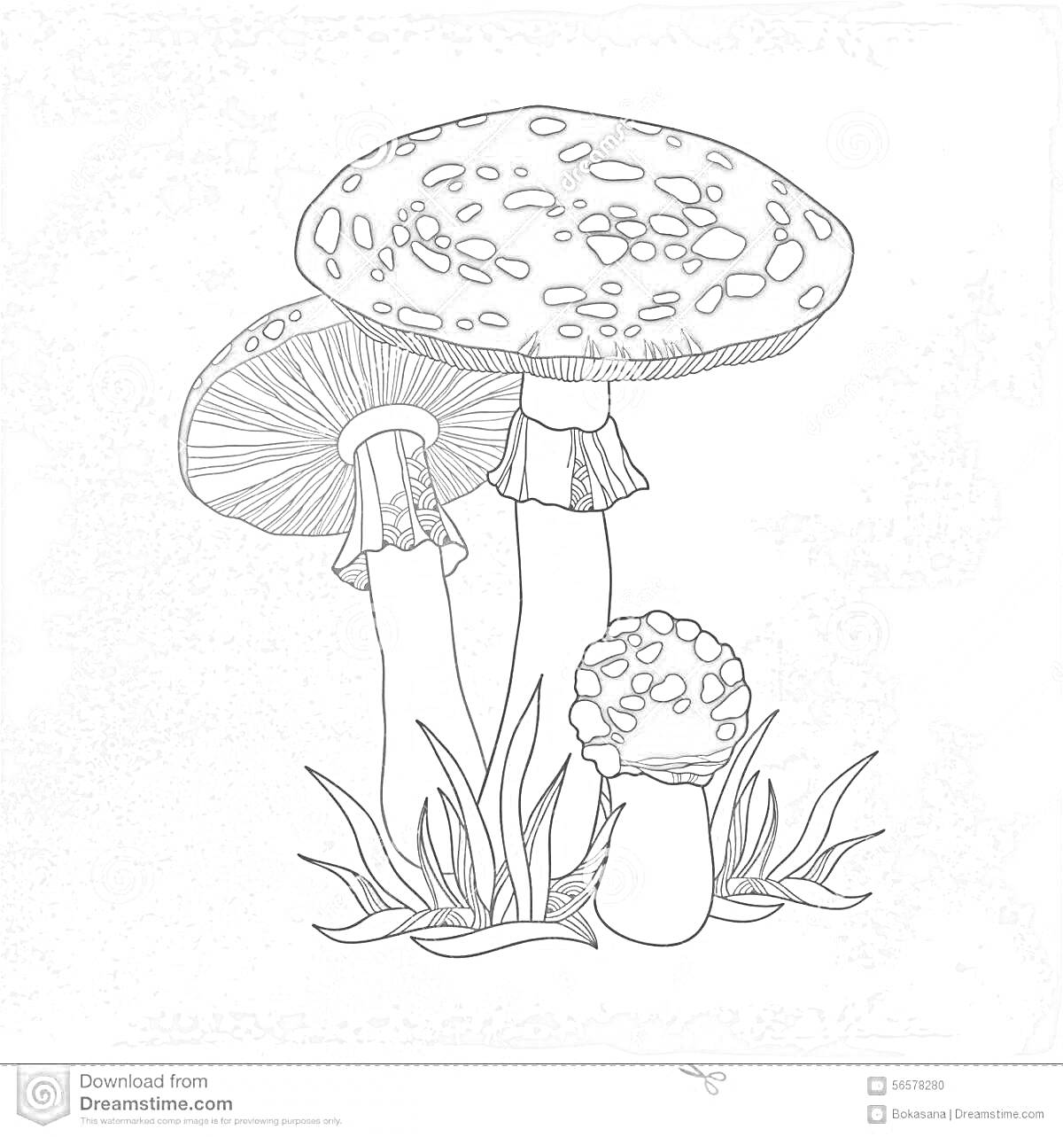 Раскраска Два больших мухомора с шляпками в белых пятнах и один маленький мухомор в траве.