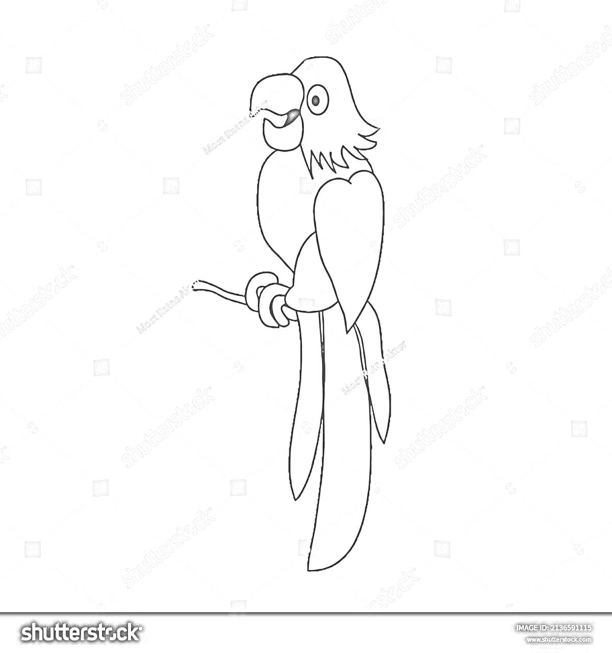 На раскраске изображено: Птица, Ветка, Перья, Клюв