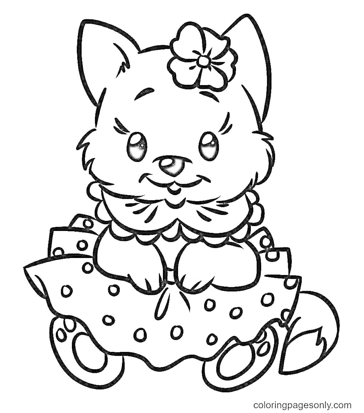 Раскраска Кошечка в платье с цветком на голове