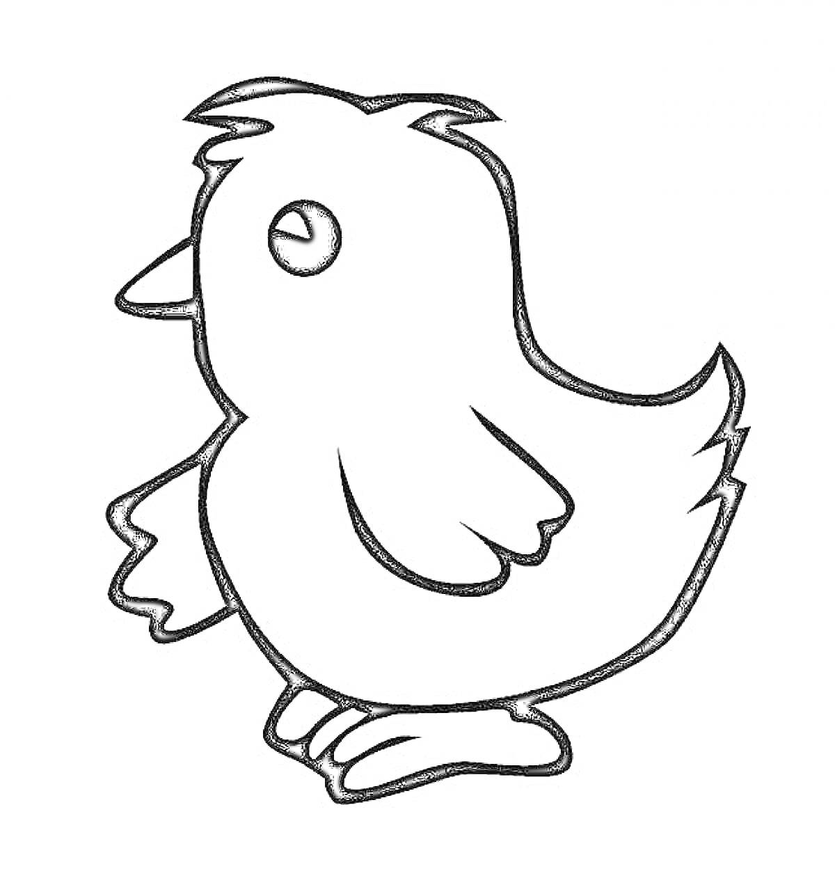 Раскраска Цыпленок с клювом, крыльями и лапками, в профиль