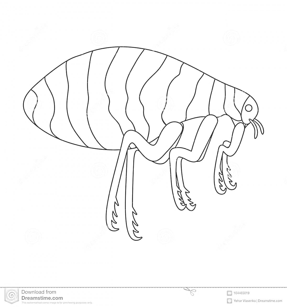 Раскраска Блоха с полосатым телом и лапами