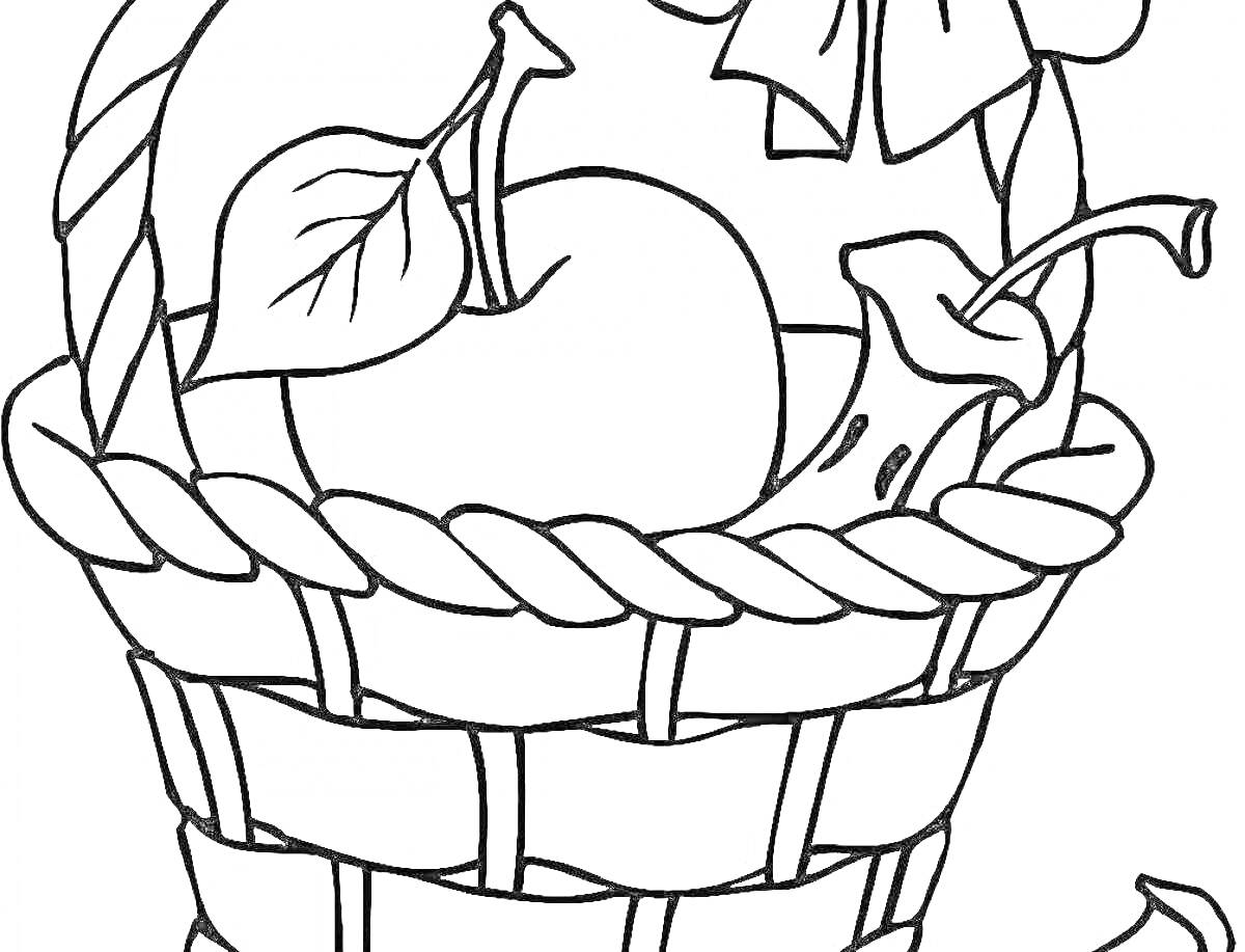Раскраска Корзина с фруктами (яблоко, груша) и бантом