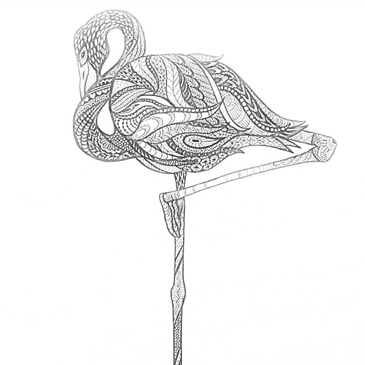 Раскраска Фламинго на одной ноге с узорчатым антистресс-орнаментом