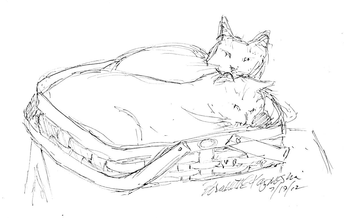 Раскраска Кошка лежит в корзине с подушкой