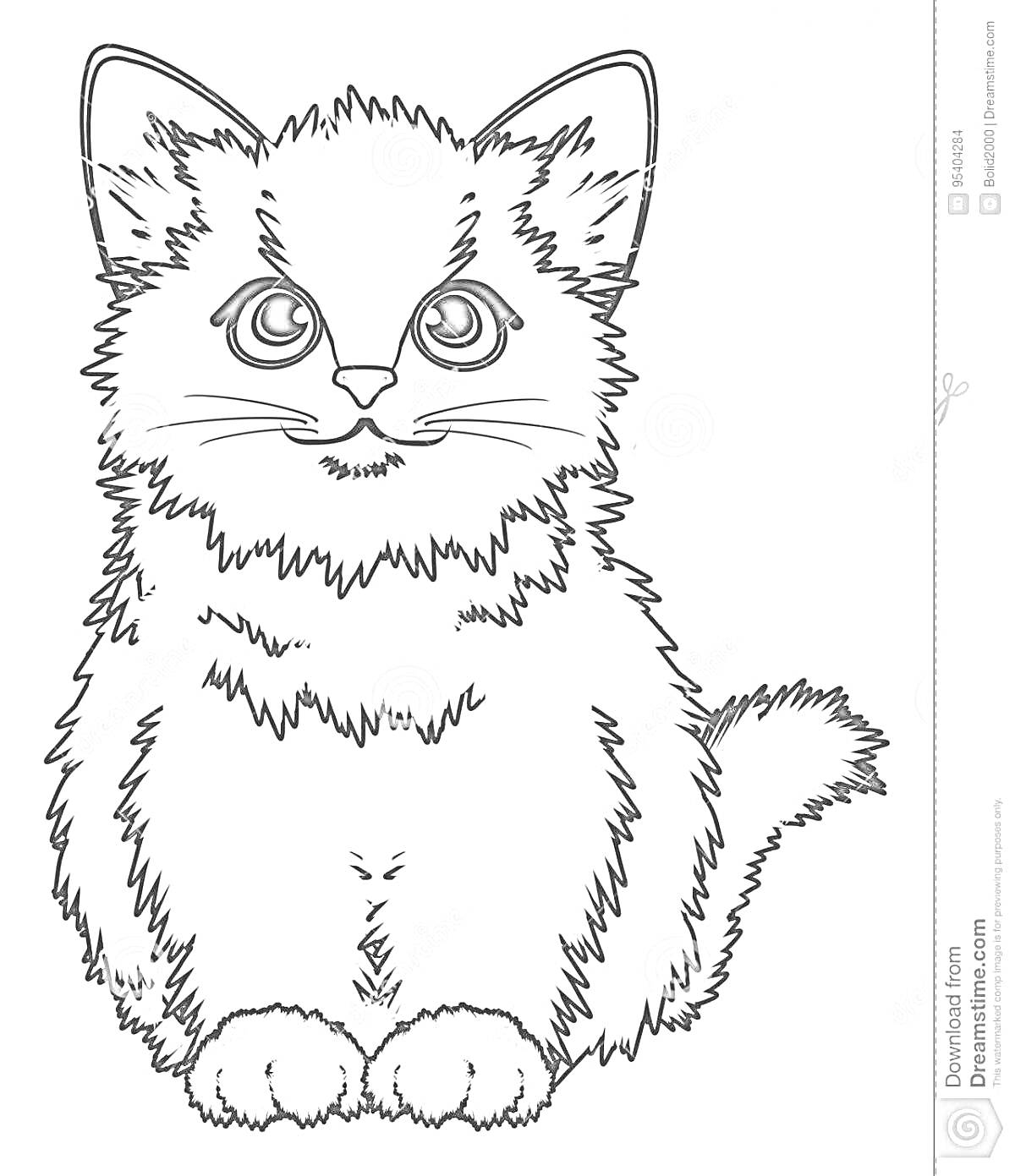 Раскраска Котенок с большими круглыми глазами, сидящий с поднятыми ушами и пушистыми лапками
