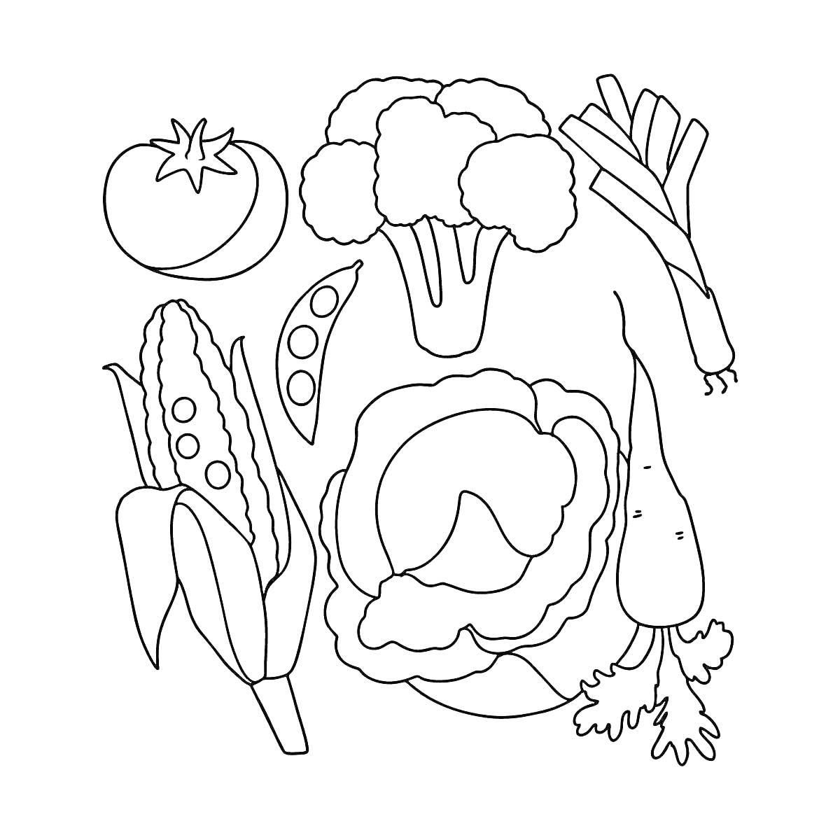 На раскраске изображено: Овощи, Помидор, Брокколи, Лук-порей, Кукуруза, Горох, Капуста, Морковь