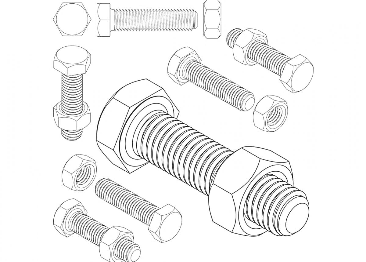 Раскраска Винты и гайки разного размера и формы