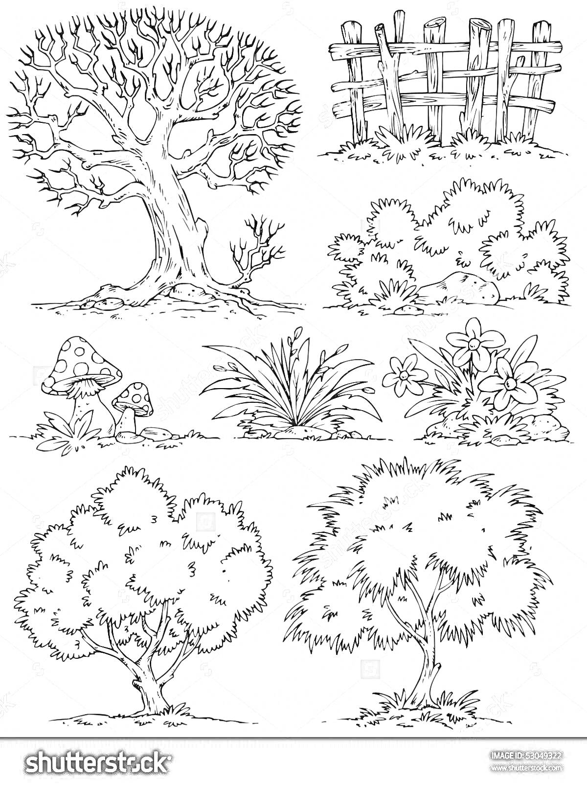 Раскраска Дерево, забор, кусты, грибы, цветы