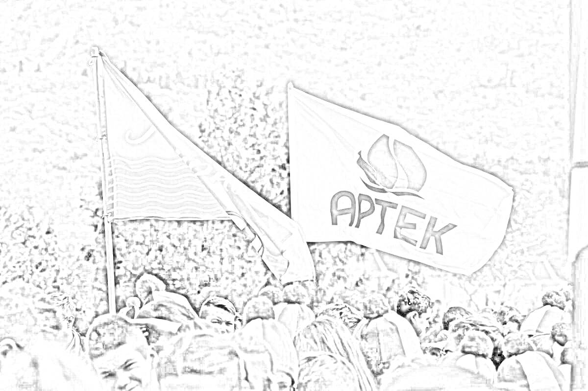 Люди на массовом мероприятии с флагами Артека на фоне гор