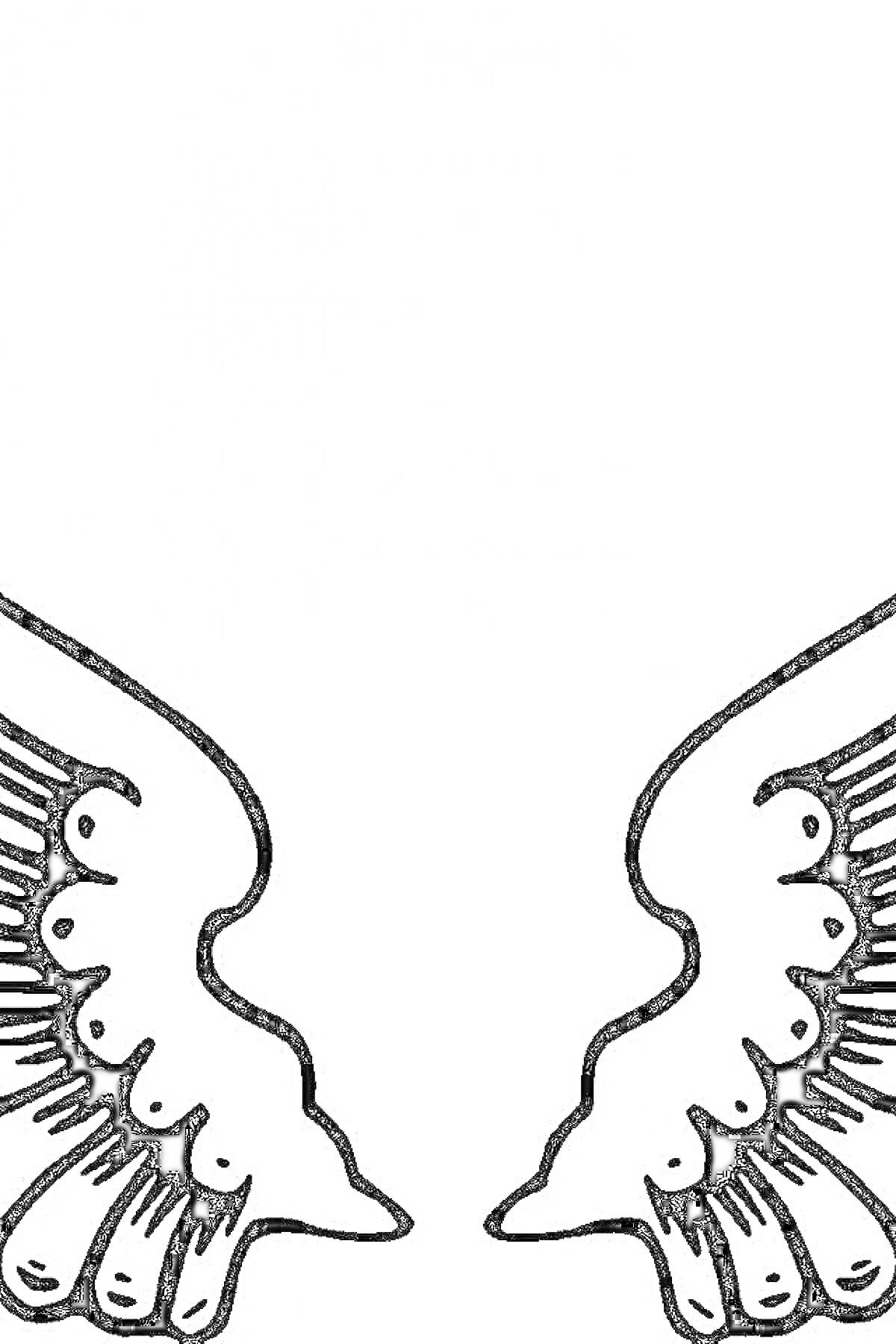 Раскраска Ангельские крылья, контурное изображение, симметричное