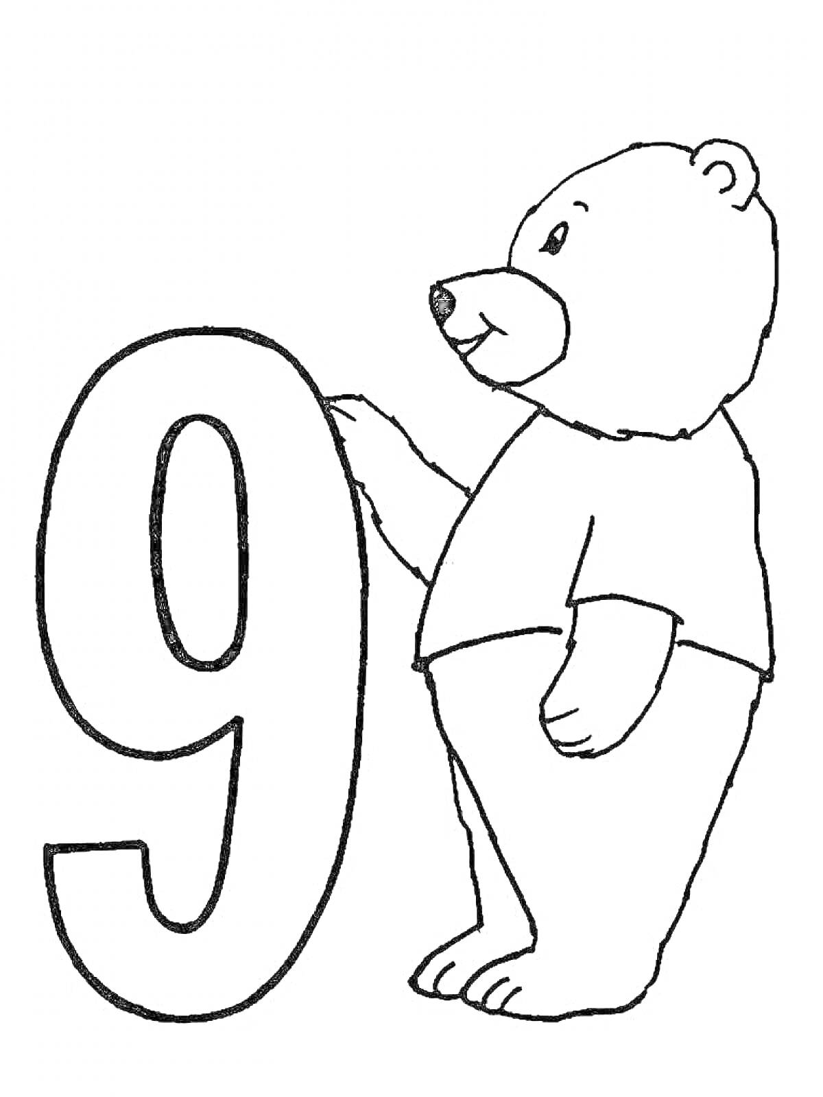 На раскраске изображено: Медведь, Цифра 9, Цифры, Контурные рисунки