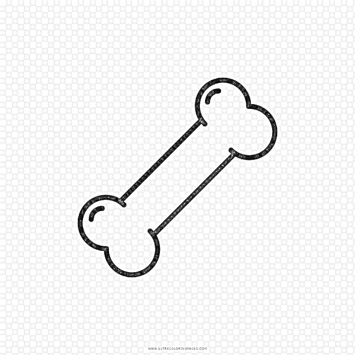 На раскраске изображено: Прозрачный фон