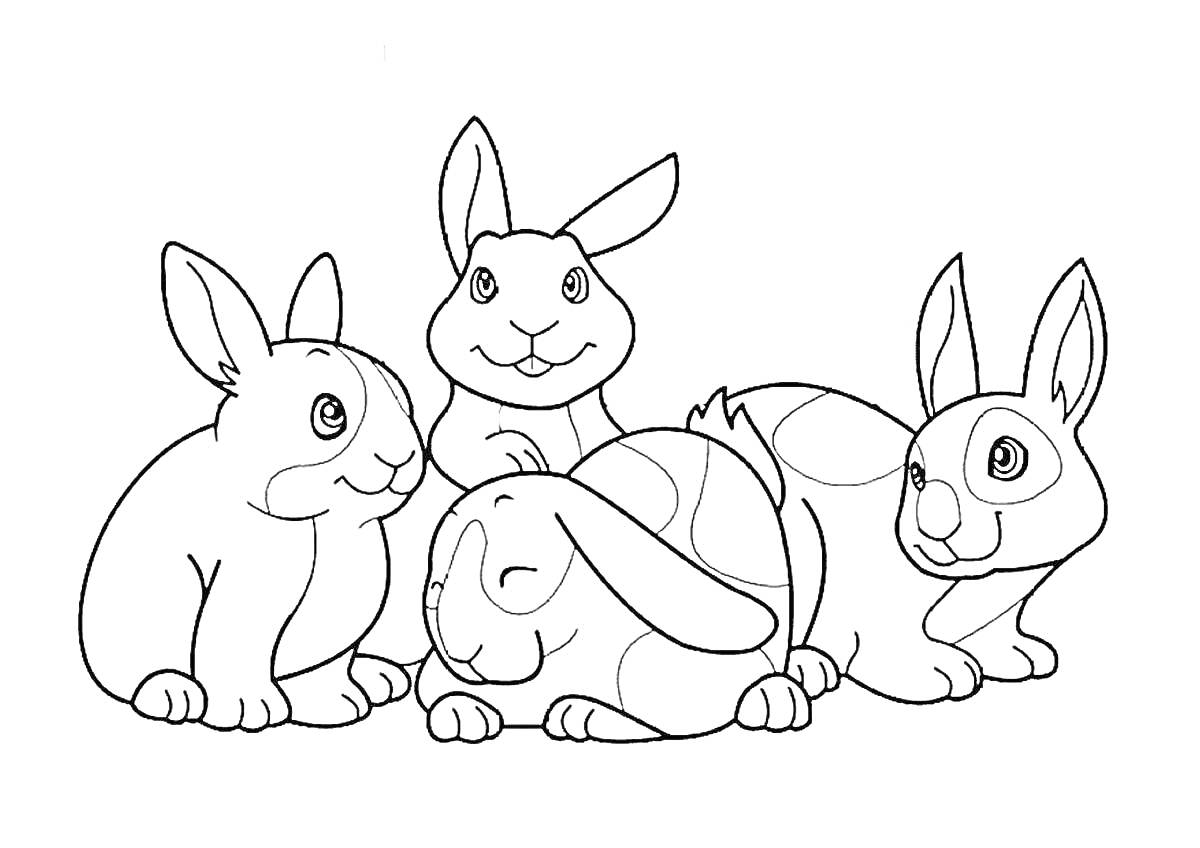 На раскраске изображено: Семья, Зайцы, Животные, Природа