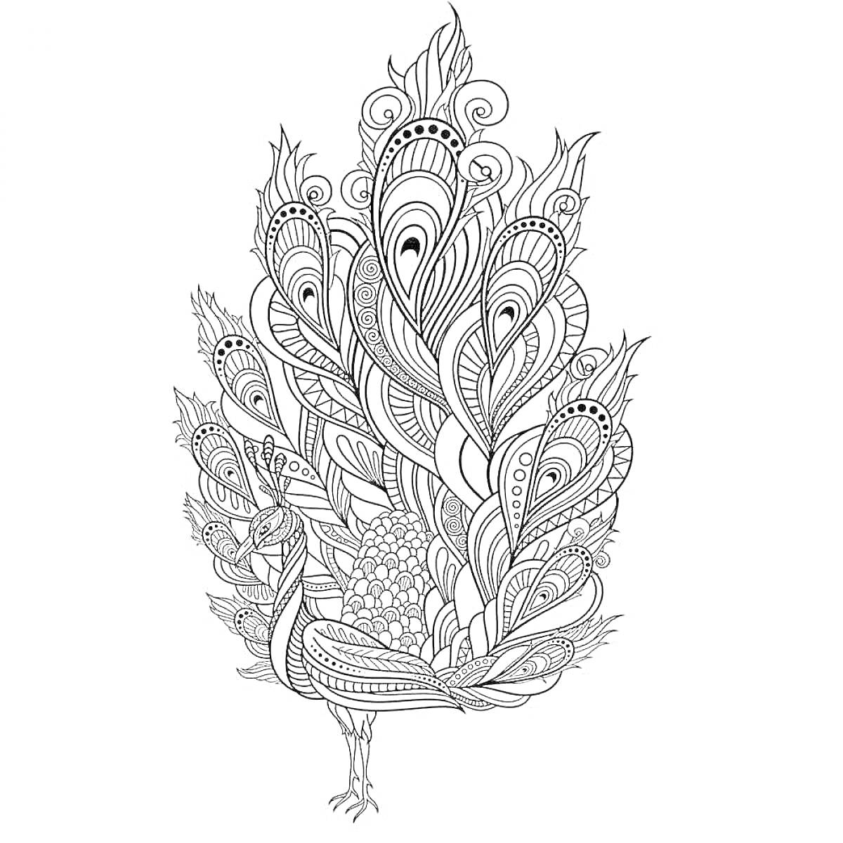 Раскраска Раскраска павлиний хвост с декоративными перьями