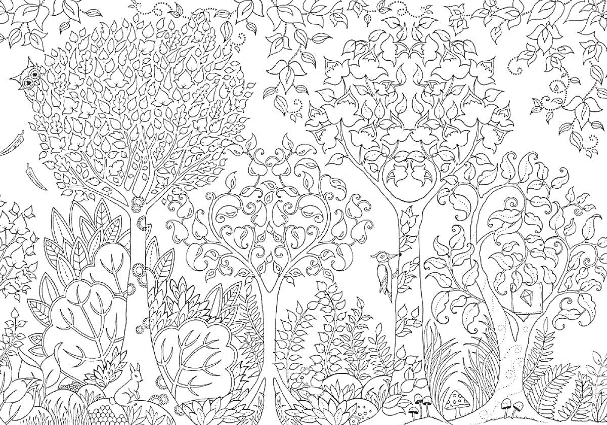 На раскраске изображено: Деревья, Кусты, Листья, Природа, Лес, Растительность