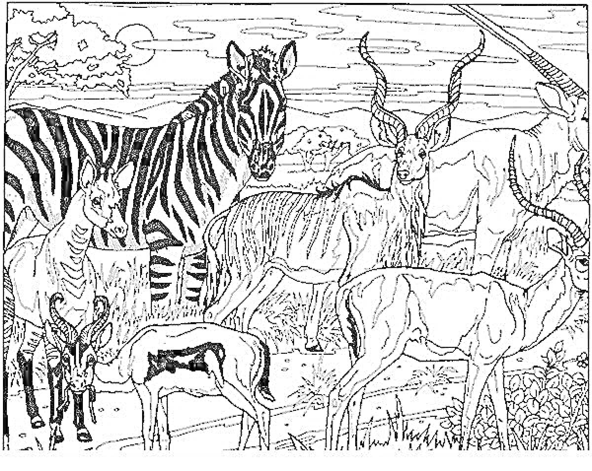 На раскраске изображено: Саванна, Антилопы, Природа, Деревья, Холмы, Животные