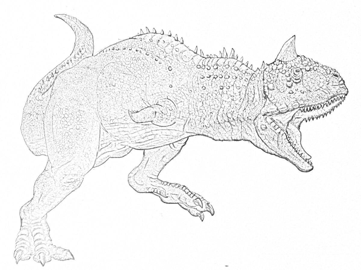 РаскраскаКарнозавр с открытой пастью на фоне пустого пространства, детализированное изображение