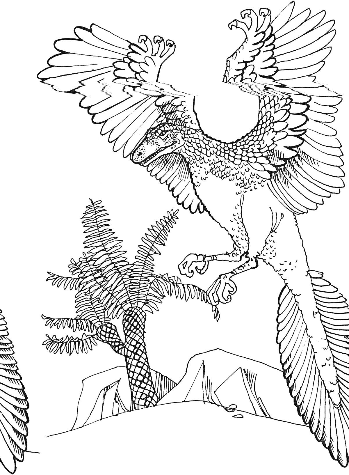 На раскраске изображено: Археоптерикс, Папоротник, Скалы, Природа, Динозавр, Крылья, Доисторическая эпоха