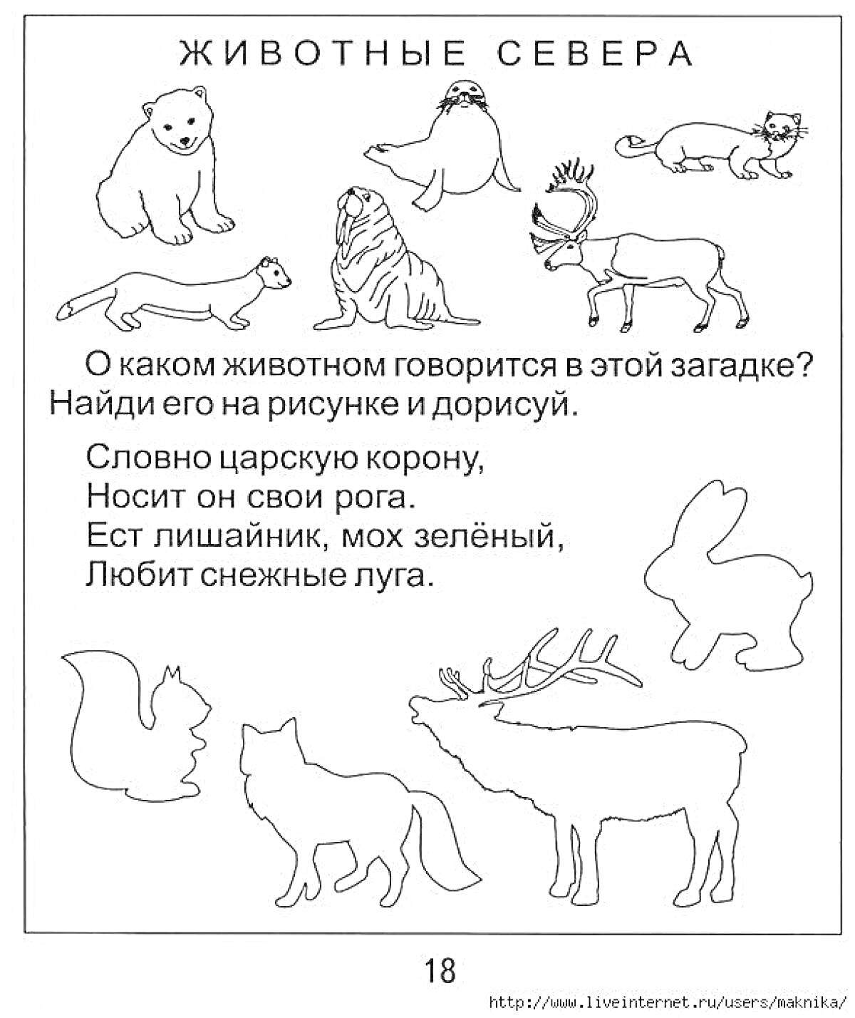 На раскраске изображено: Северные животные, Загадка, Животные севера, Рога, Олень