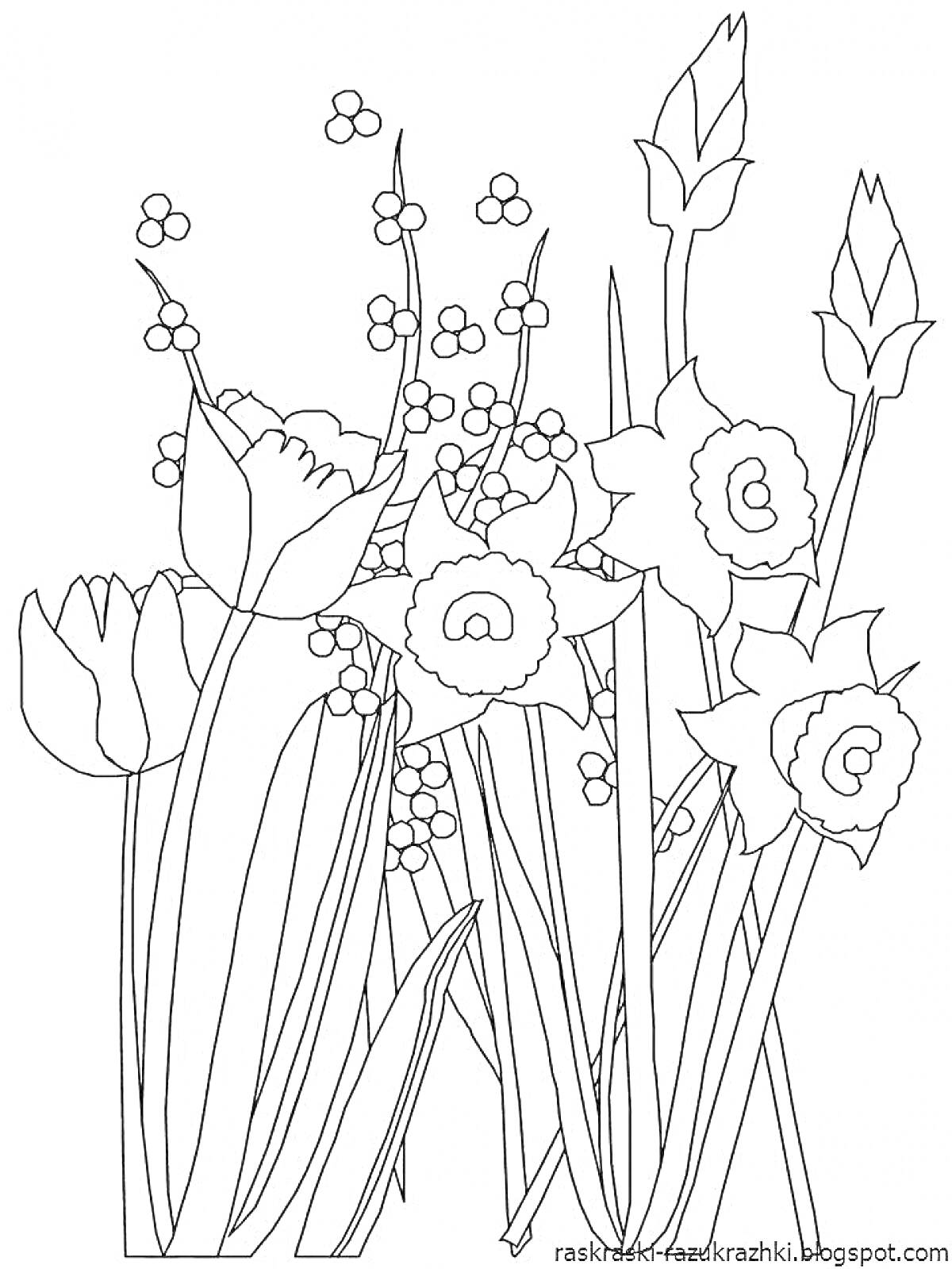 На раскраске изображено: Весенние цветы, Тюльпаны, Нарциссы, Ландыши, Природа, Ботаника, Весна