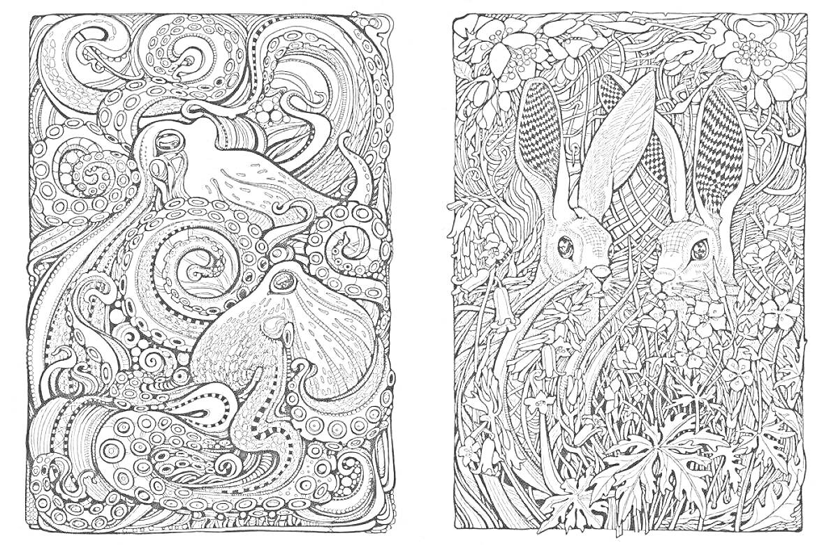 Раскраска левое изображение - осьминоги, правое изображение - зайцы в цветах