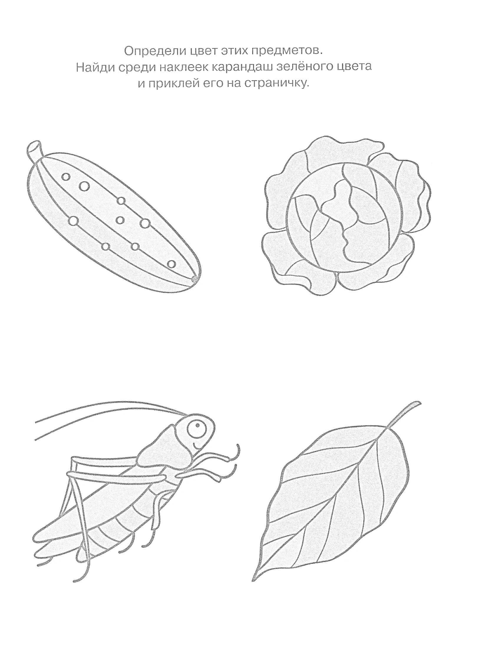 На раскраске изображено: Огурец, Салат, Кузнечик, Зеленый цвет, Овощи, Насекомое, Природа