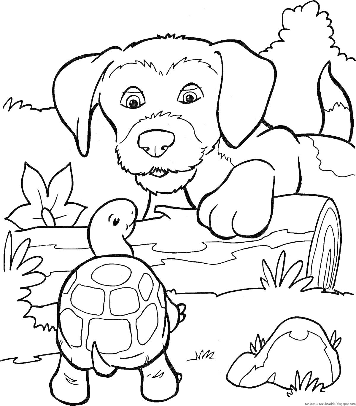 Раскраска Собака смотрит на черепаху через бревно в лесу
