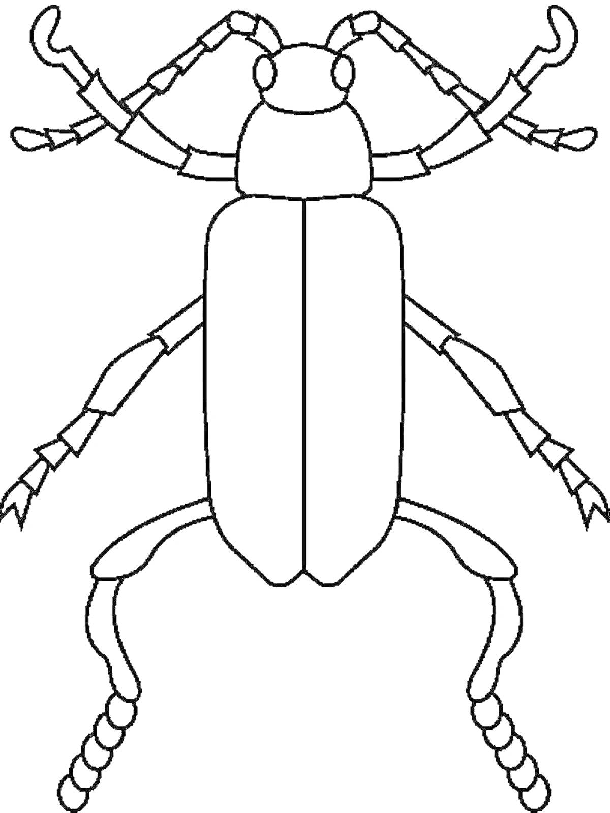 Клоп с антеннами, шестью лапками и длинным корпусом