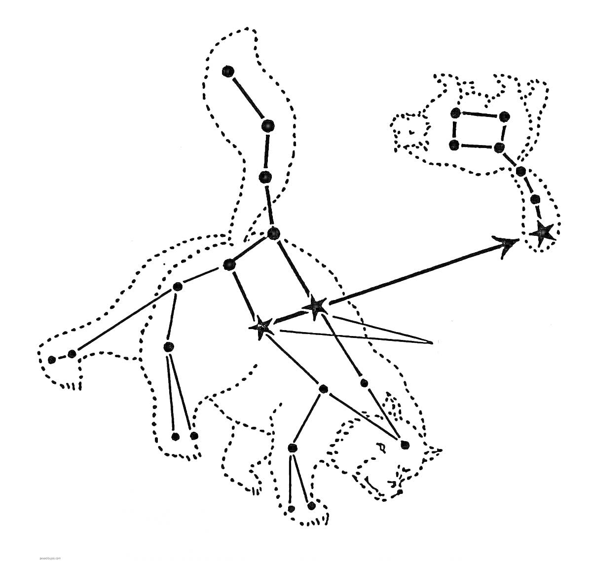 Раскраска Созвездие Большой Медведицы и Малой Медведицы