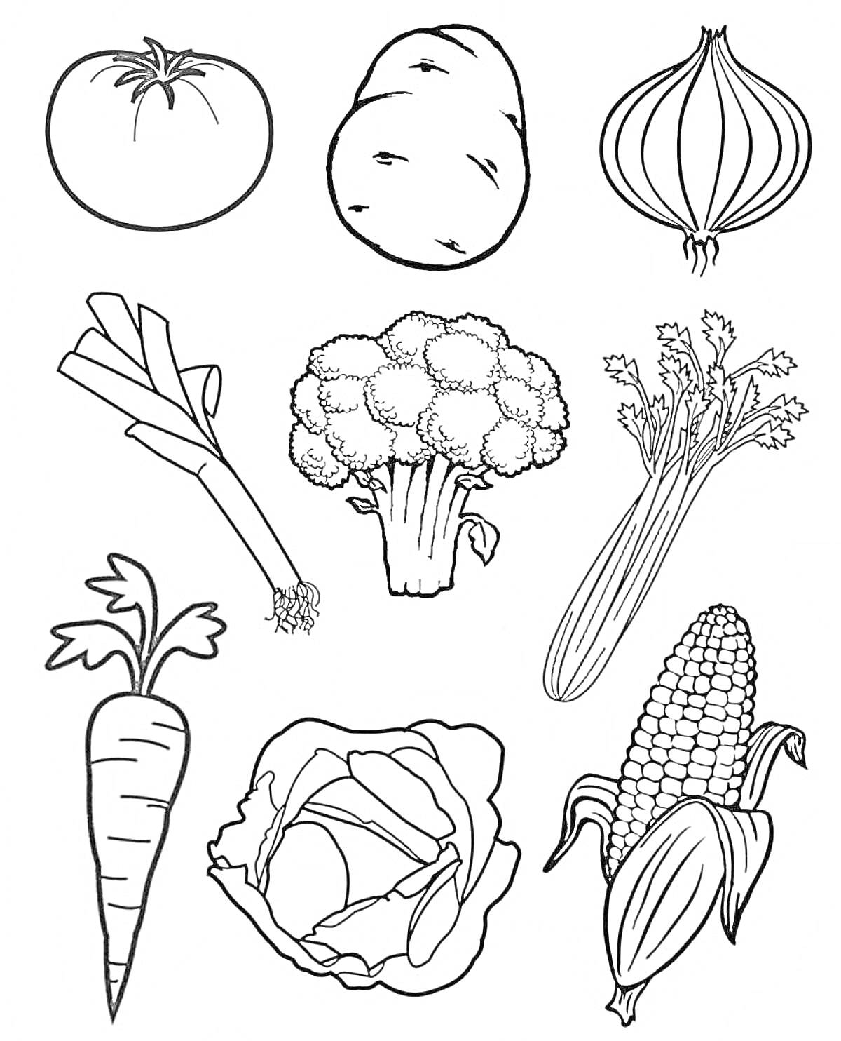 На раскраске изображено: Фрукты, Овощи, Помидор, Лук, Брокколи, Морковь, Капуста, Кукуруза, Для детей, Картофель