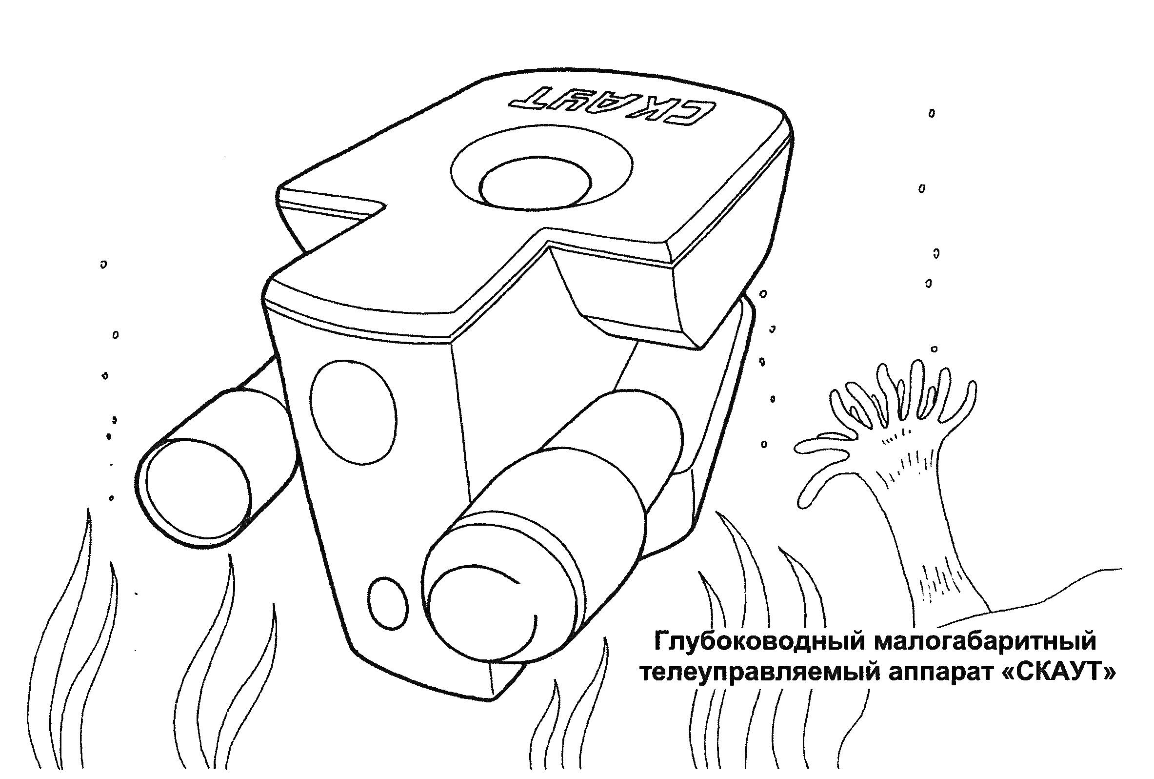 Раскраска Глубоководный малогабаритный телеуправляемый аппарат «СКАТ», водоросли, подводный робот, рыбья кость