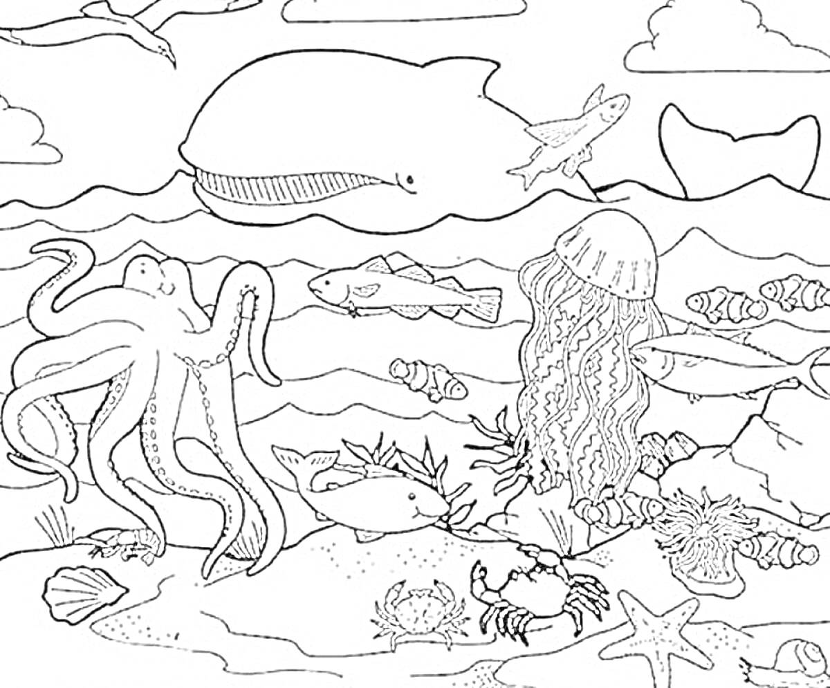 Раскраска Морское дно с медузой, осьминогом, китом, крабом и другими морскими существами