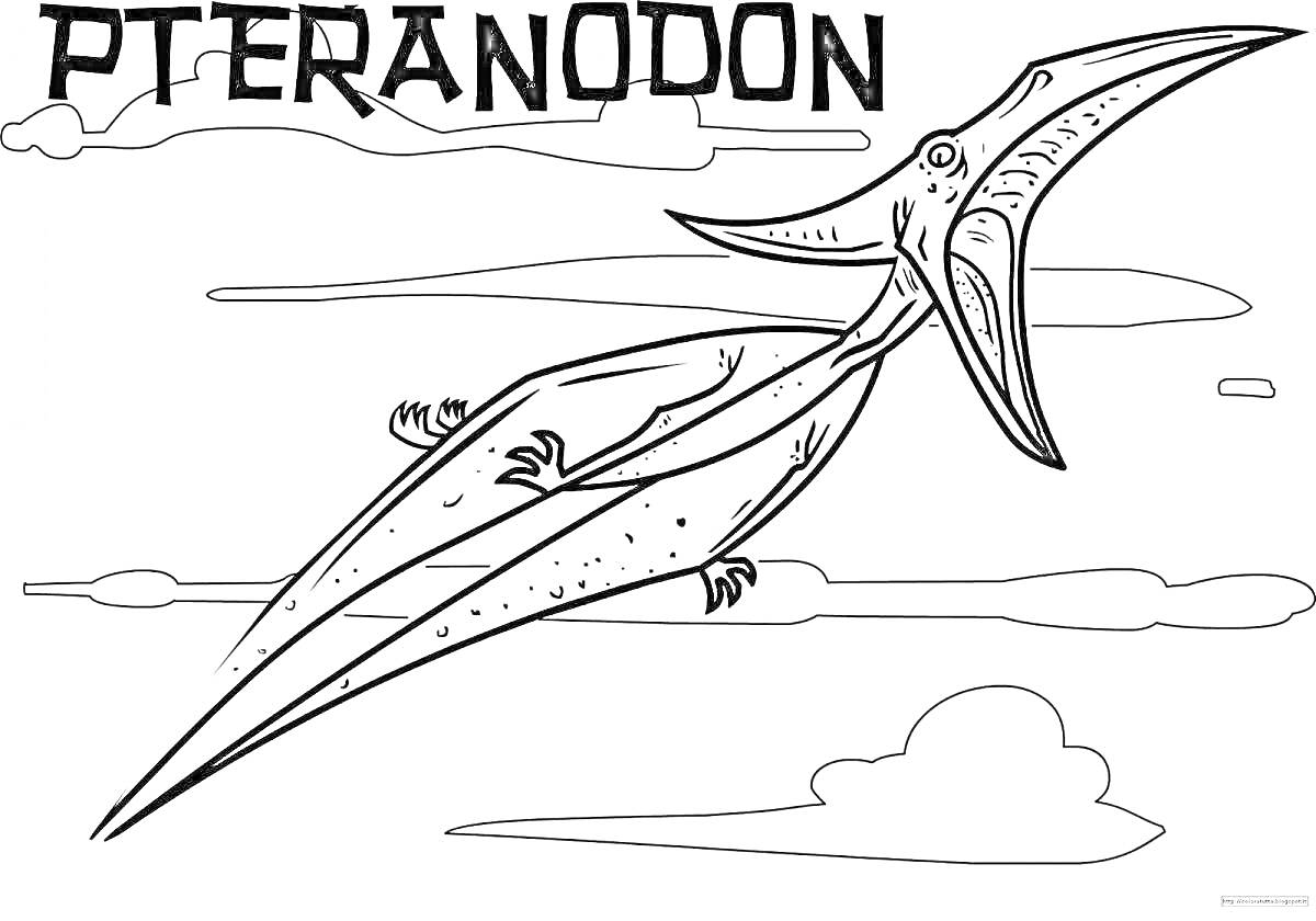 На раскраске изображено: Птеранодон, Динозавр, Облака
