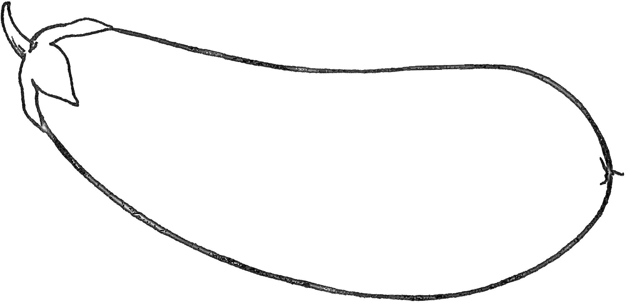Раскраска Контур баклажана с листочком