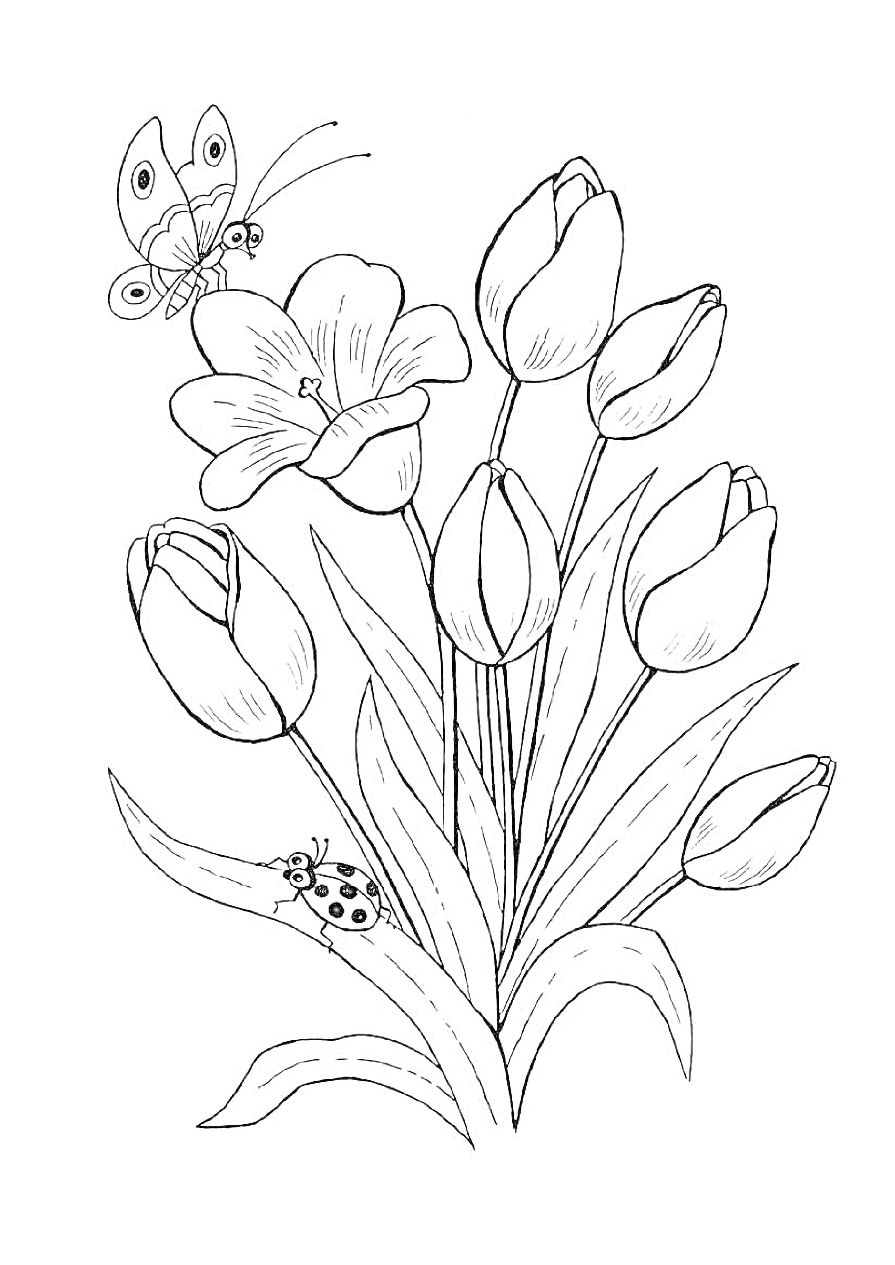 Раскраска Тюльпаны с бабочкой и божьей коровкой
