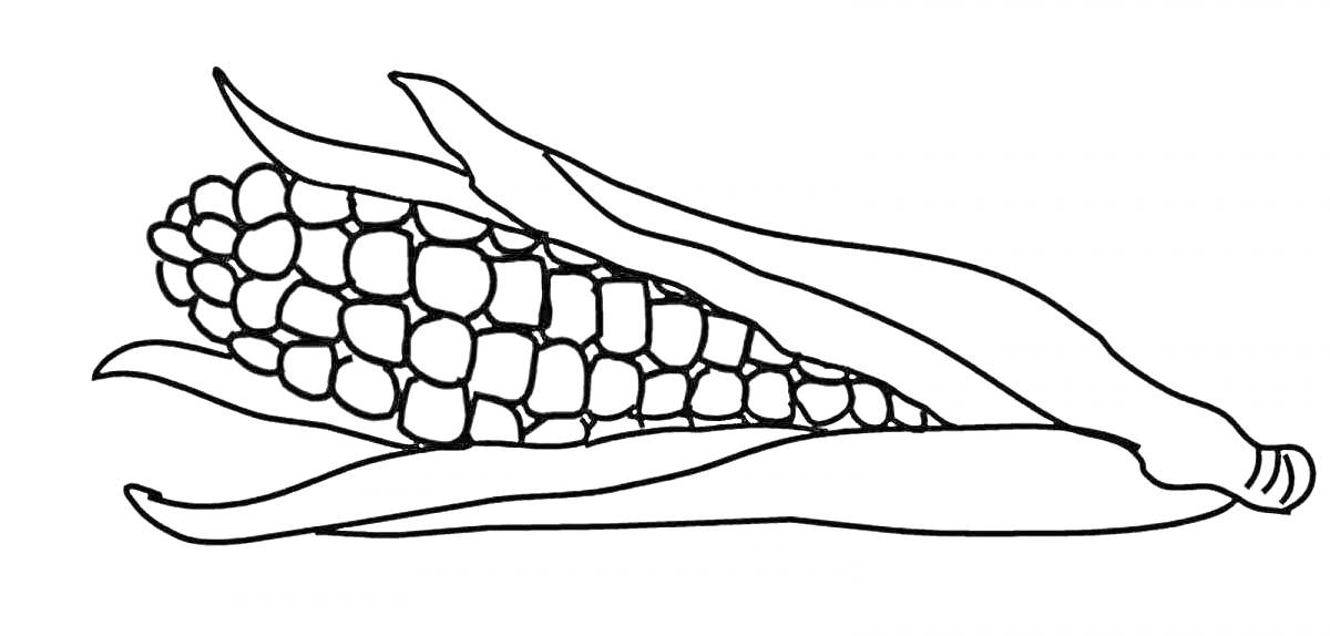 Раскраска Раскраска кукуруза с листьями