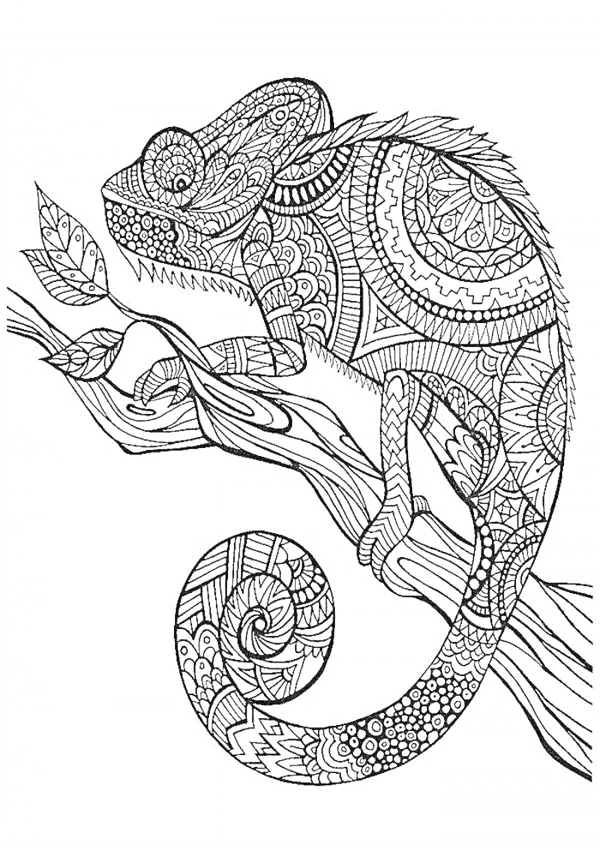 Раскраска Хамелеон на ветке с детализированным орнаментом