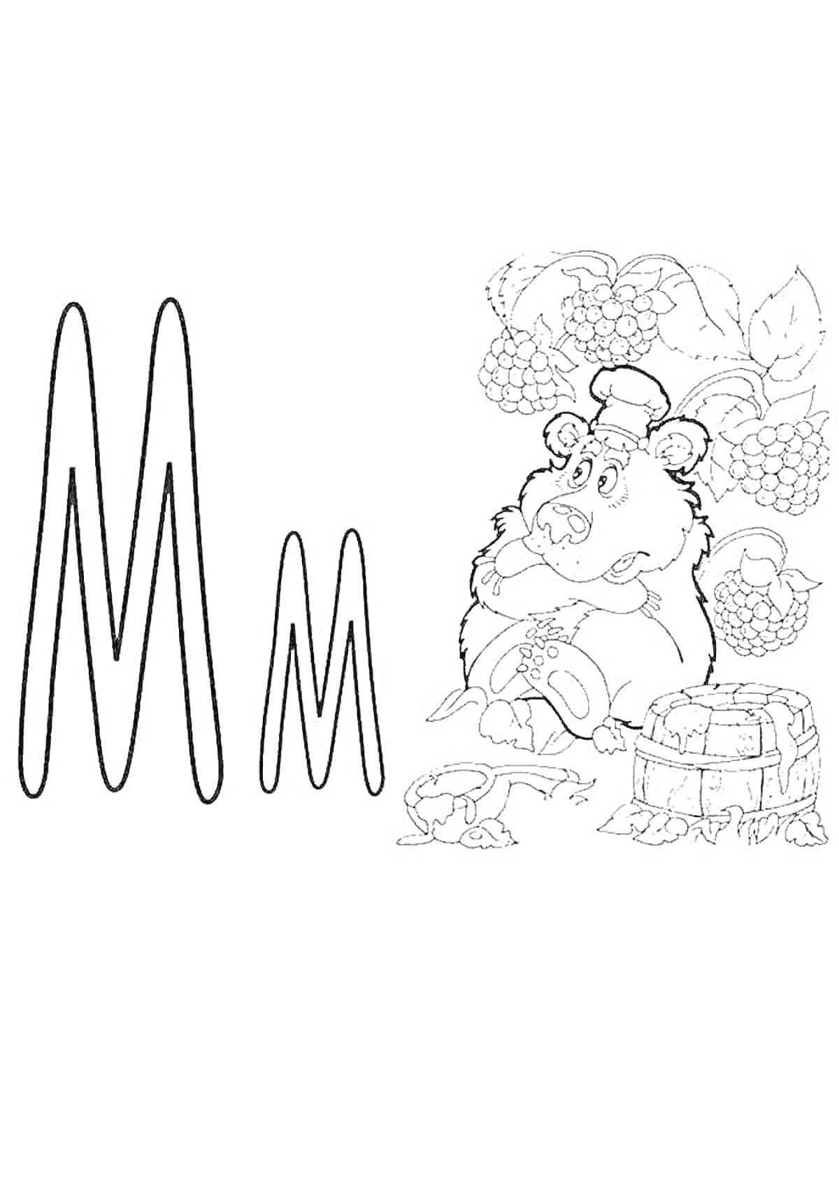 Раскраска буква М с медведем, малиной, бочкой и улиткой