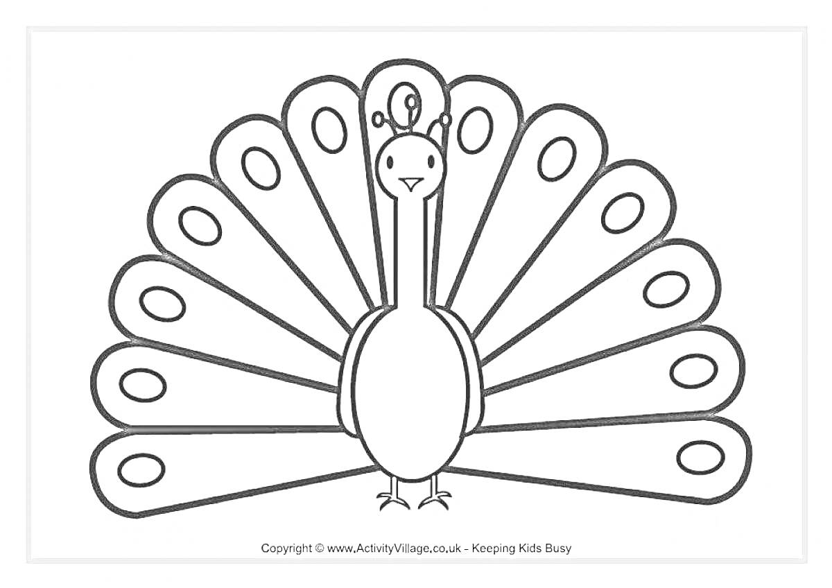 Раскраска раскраска с изображением павлина с развёрнутым хвостом