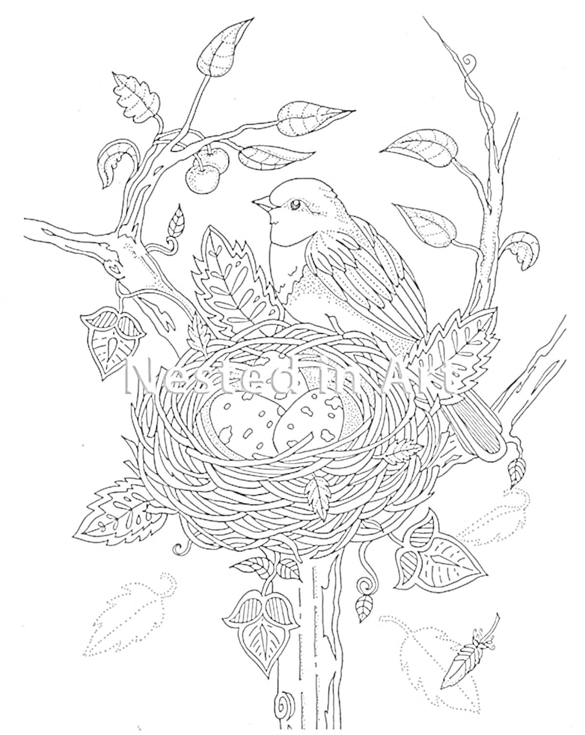 Раскраска Птичье гнездо на дереве с птенцами, сидящей птицей, листьями, ветками и насекомым