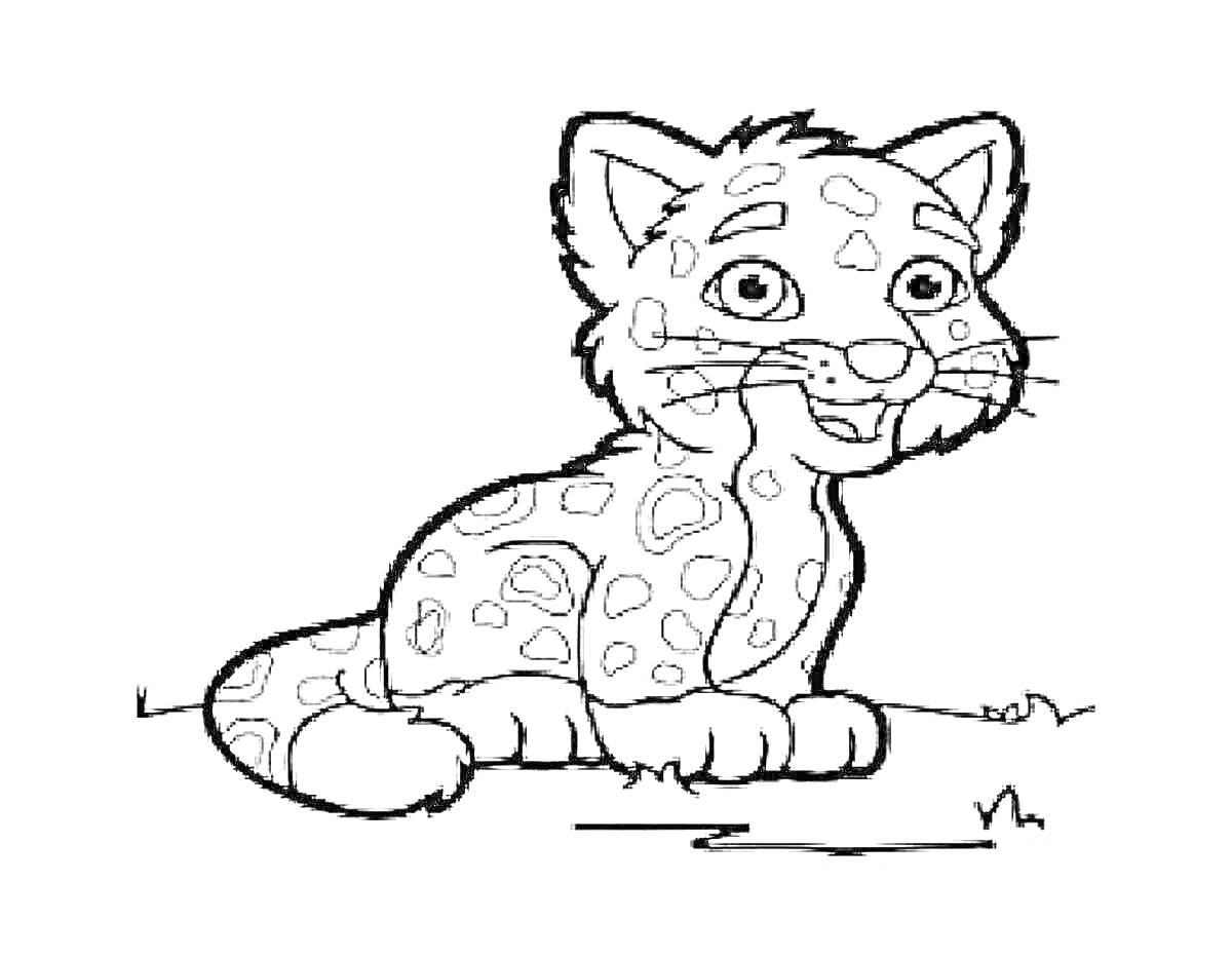 На раскраске изображено: Леопард, Трава