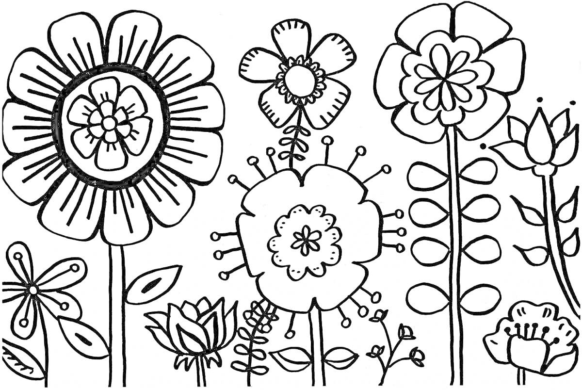 На раскраске изображено: Цветы, Для детей, Крупные цветы, Листья